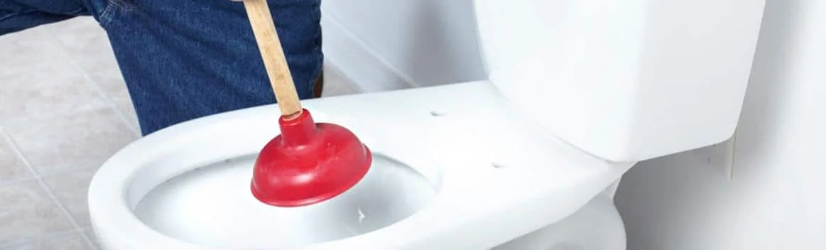 Blocked Toilet Ashfield