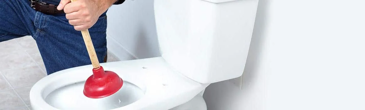 Blocked Toilet Newtown
