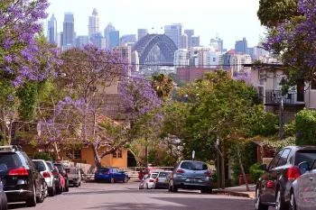 PLUMBER NEUTRAL BAY