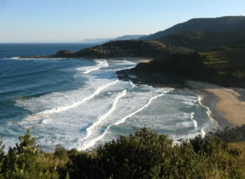 plumber engadine